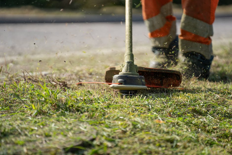 Lawn care professional inspecting healthy green grass